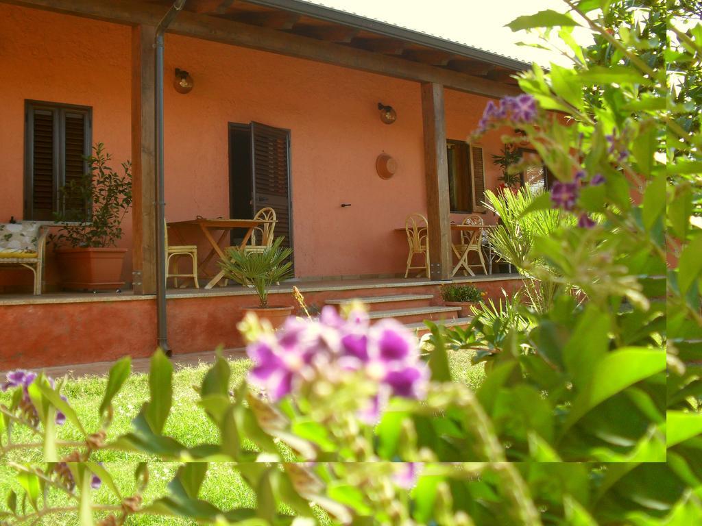 Il Vigneto B&B Gonnesa Exterior photo